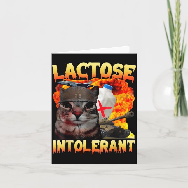 Lactose Intolerant Silly Cat Meme Funny Saying Cat Kort (Framsida)