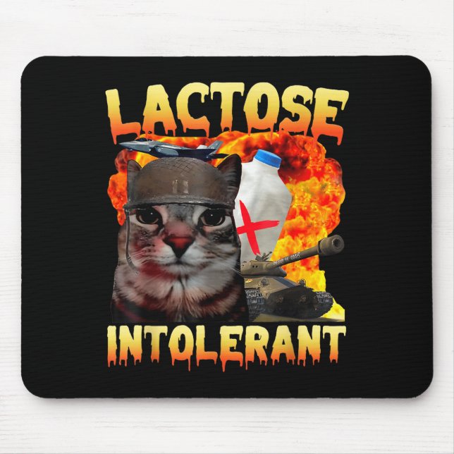 Lactose Intolerant Silly Cat Meme Funny Saying Cat Musmatta (Framsidan)