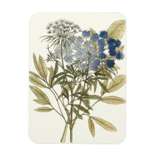 Lacy Lövs - Blommor och Grekland Magnet