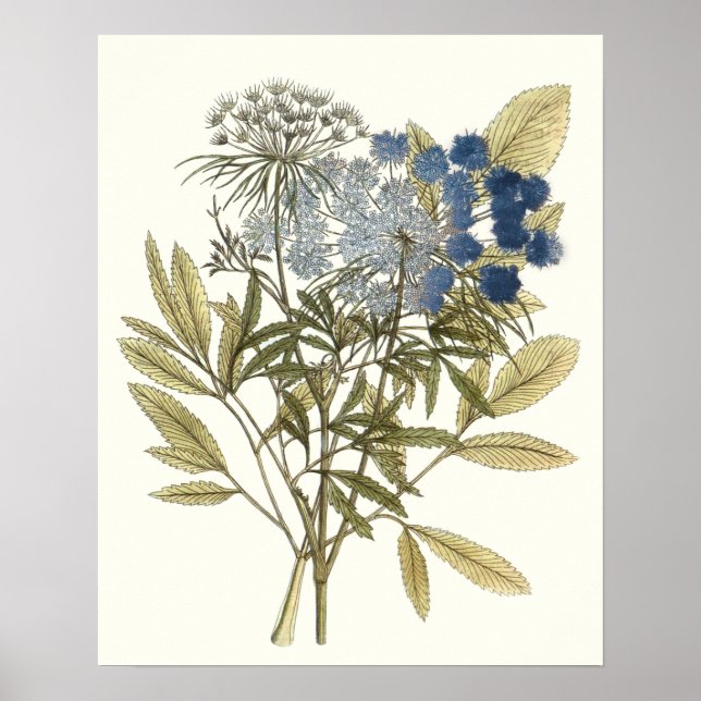 Lacy Lövs - Flowers and Greenery Poster (Framsidan)