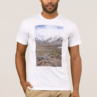 Ladakh Tee Shirt