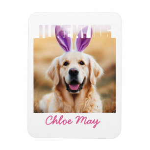 Ladda upp Anpassningsbar Pet Photo Namn I Kärlek M Magnet