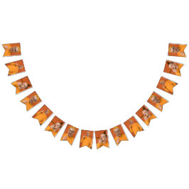 Ladda upp din roliga fotofotografi från festen  vimplar