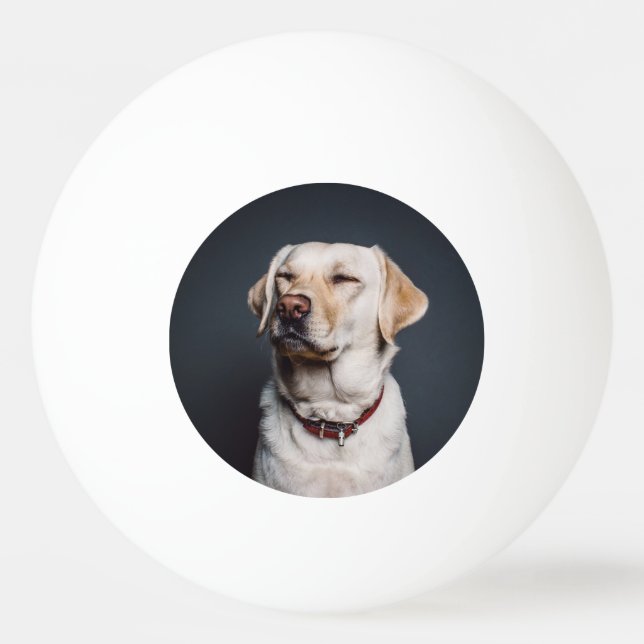 Ladda upp ditt foto pingisboll (Framsidan)