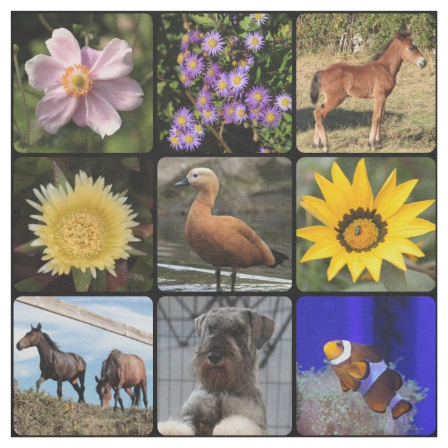 Ladda upp ditt foto tyg (Provkarta)