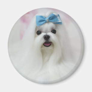 Ladda upp husdjursfoto Söt bedårande hund Magnet