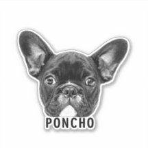 Ladda upp Pet Ansikte Photo & Namn Customized Stic