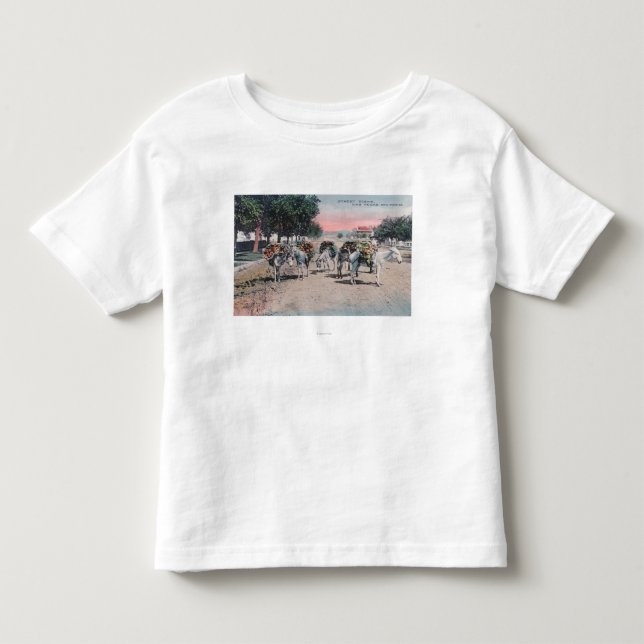 Laddade åsnor på StreetLasen Vegas, NM Tröja (Framsida)