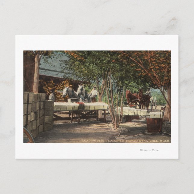 Laddar frukt på Longview Ranch Vykort (Framsida)