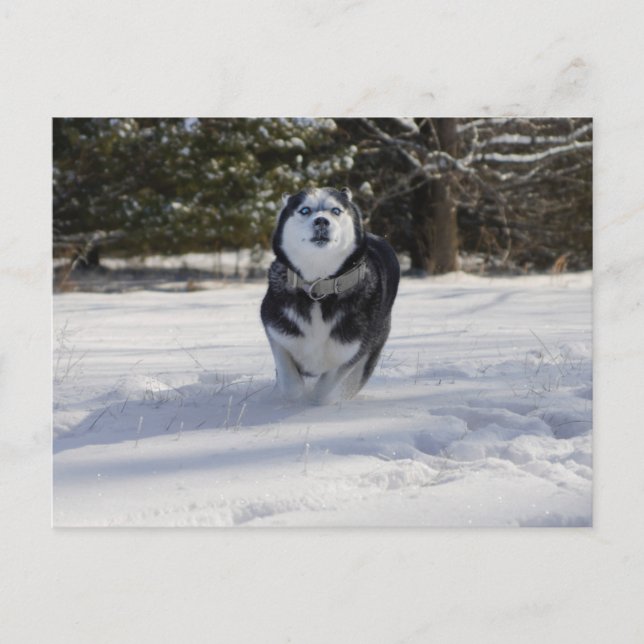 Laddar genom vykort (Framsida)