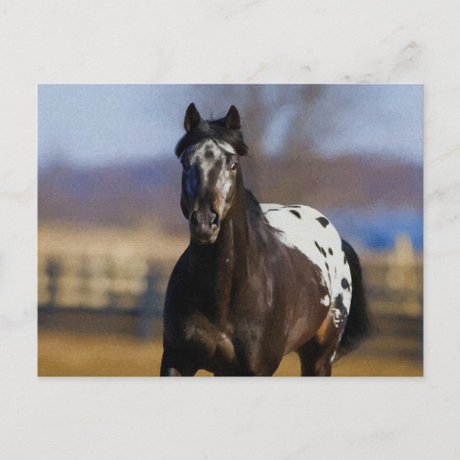 Laddare Vykort (Framsida)