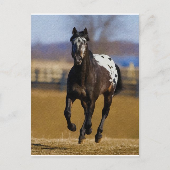 Laddare Vykort (Framsida)