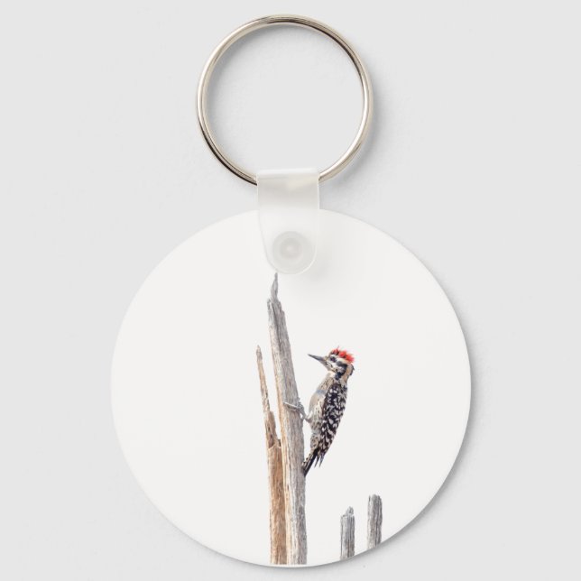 Ladder-Backed Woodpecker Nyckelring (Framsida)