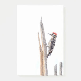 Ladder-Backed Woodpecker Post-it Block