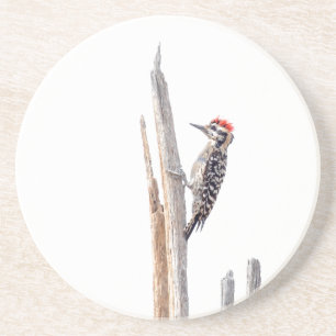 Ladder-Backed Woodpecker Underlägg Sandsten
