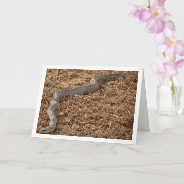 Ladder Snake Card Kort (Orkide)