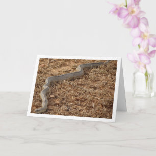 Ladder Snake Card Kort