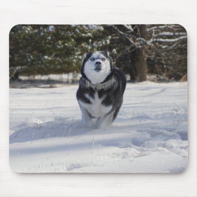 Laddning av torka musmatta (Framsidan)