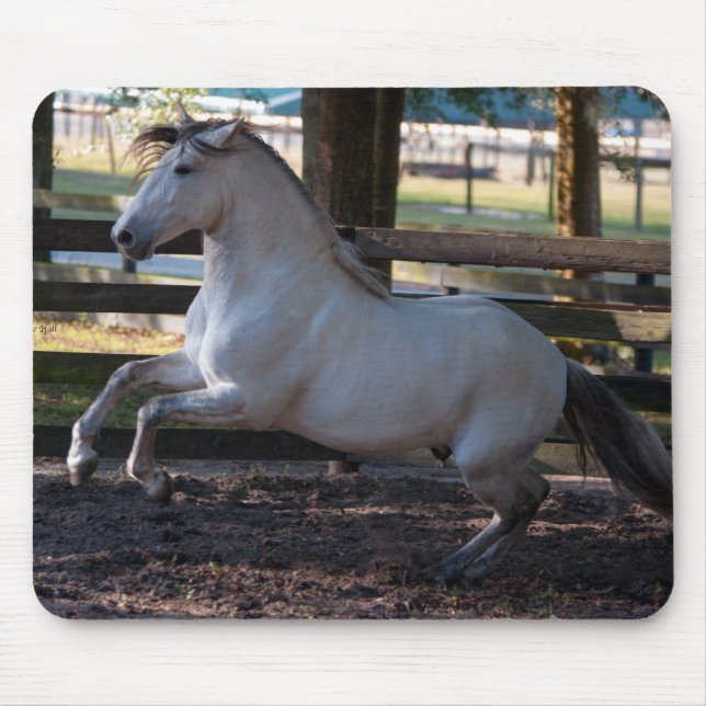 Laddning Mousepad Musmatta (Framsidan)