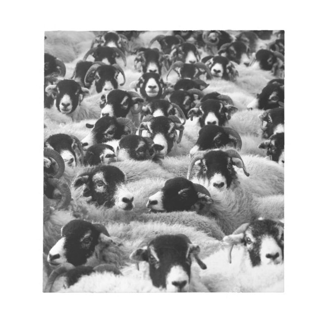 LADDNINGAR AV Rams Sheep Black and White Anteckningsblock (Framsida)