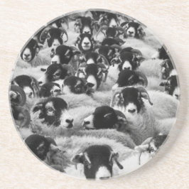 LADDNINGAR AV Rams Sheep Black and White Underlägg