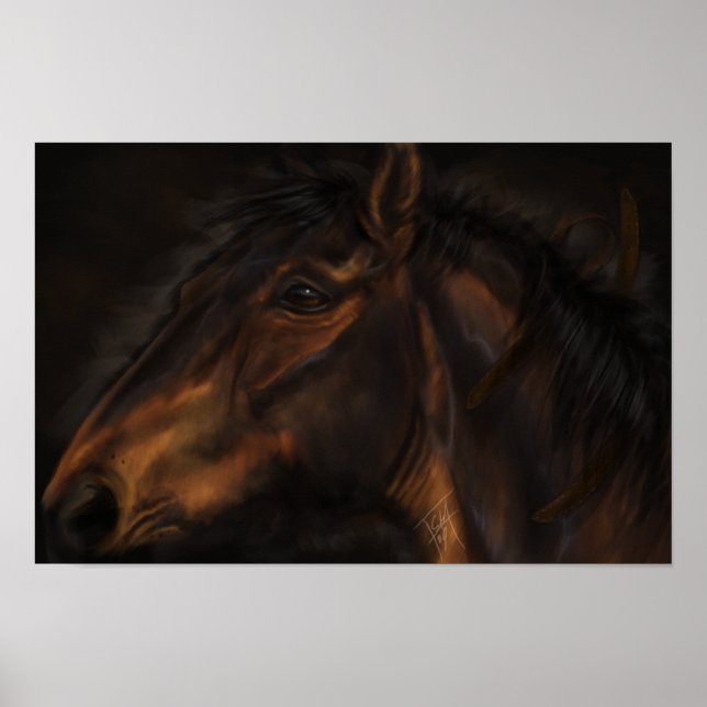 Läder Poster (Framsidan)