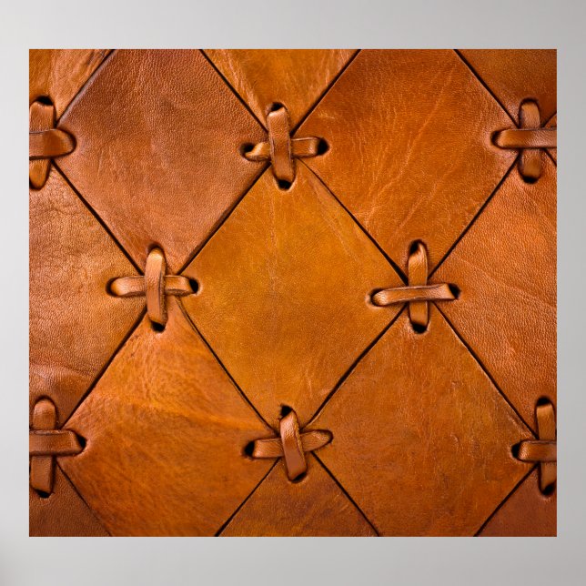 Läder struktur, naturliga självangivelser. poster (Framsidan)