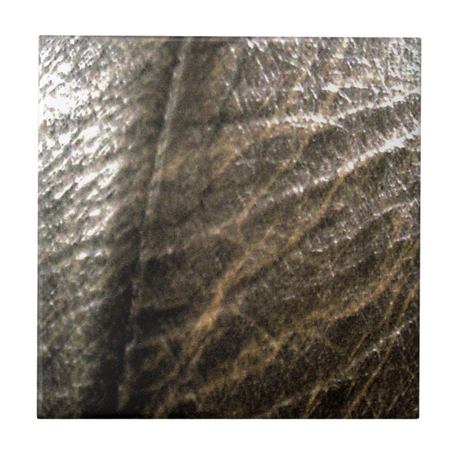 LäderSida 4 Kakelplatta (Framsidan)