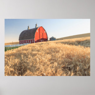 Ladugården sommarvete sätter in nära Sprague, Poster