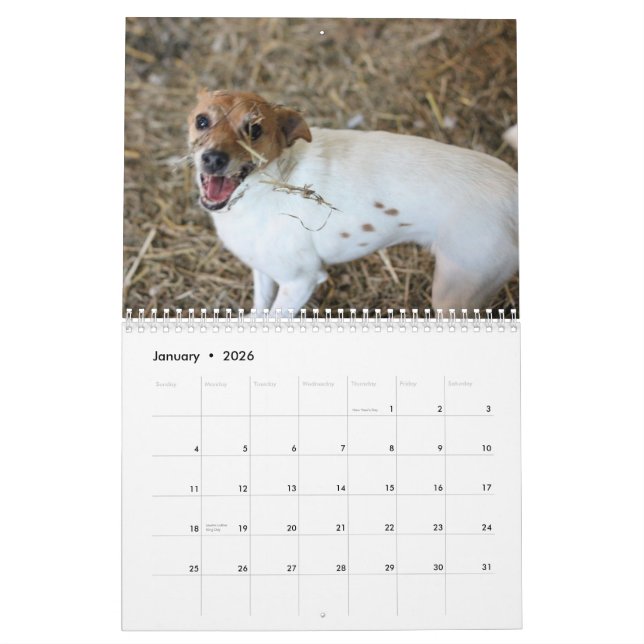 LadugårdjaktAssoc kalender 2013 (Jan 2026)