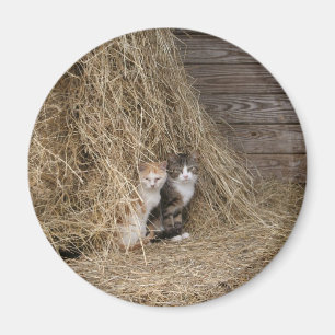 Ladugårdkattmagnet Magnet