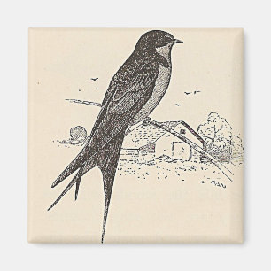 Ladugårdsvala Magnet