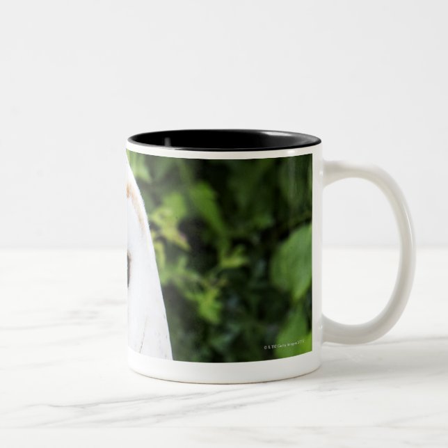 Ladugårduggla (den Alba tytoen) på handske Två-Tonad Mugg (Höger)