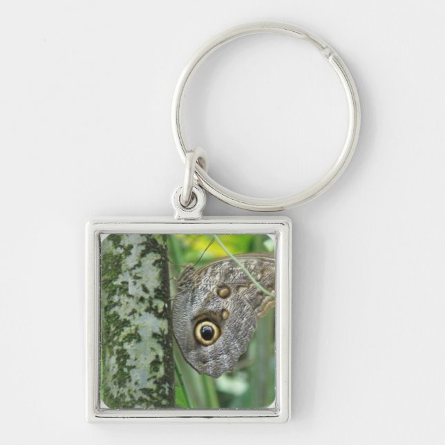 Ladugårdugglafjäril Keychain Fyrkantig Silverfärgad Nyckelring (Framsidan)