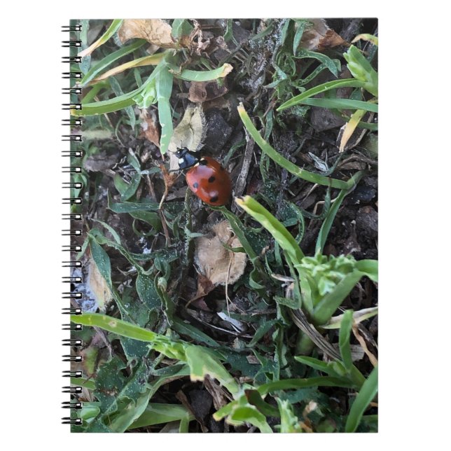 Lady Bug Anteckningsbok (Framsidan)