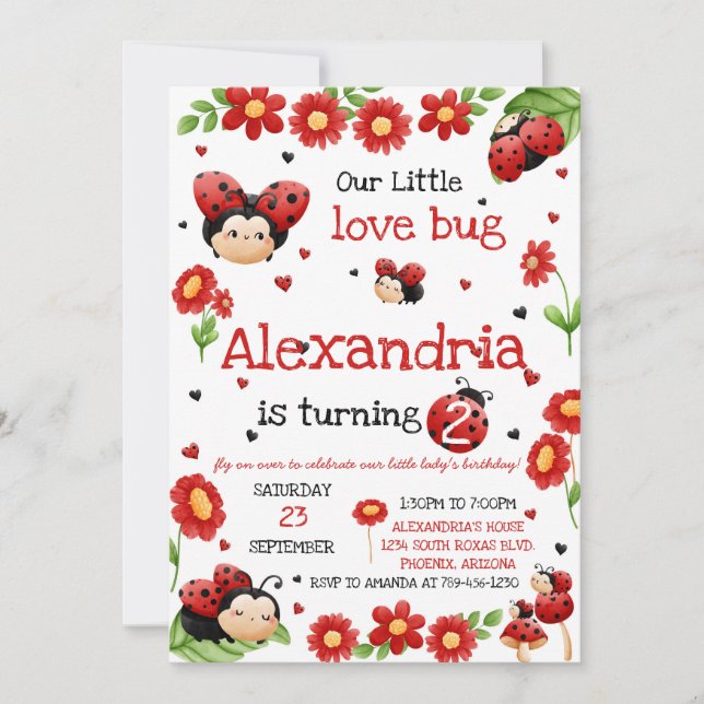 Lady Bug Birthday Invitation Inbjudningar (Framsida)