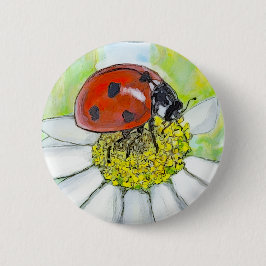 Lady Bug on A Daisy Knapp