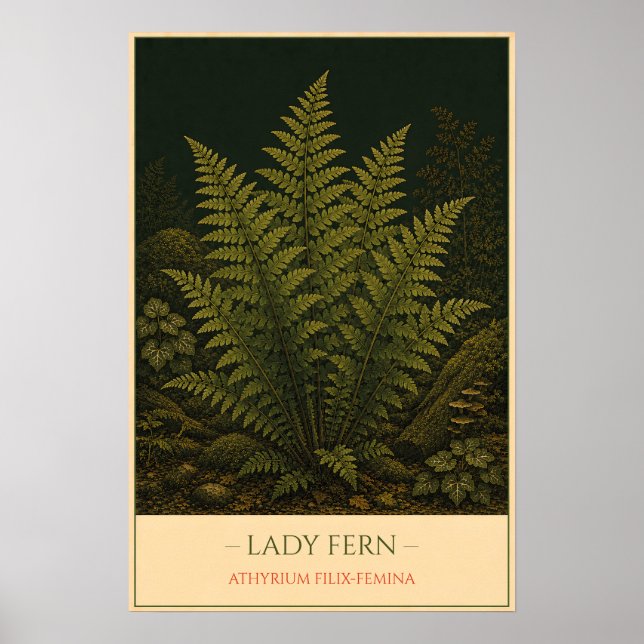 Lady Fern – Vintage Botanical Illustration Poster (Framsidan)