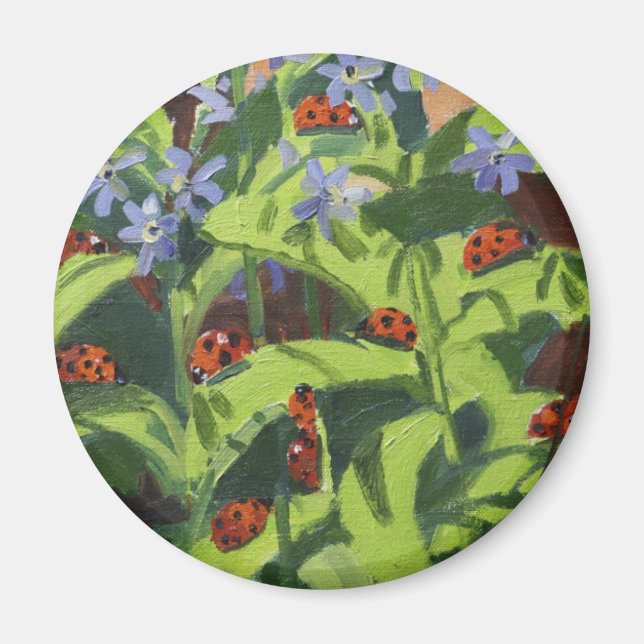 Ladybird 2013 magnet (Framsidan)