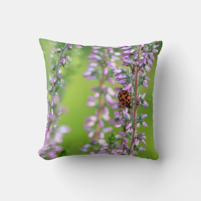 Ladybird auf lila Blume - Kudde (Framsida)
