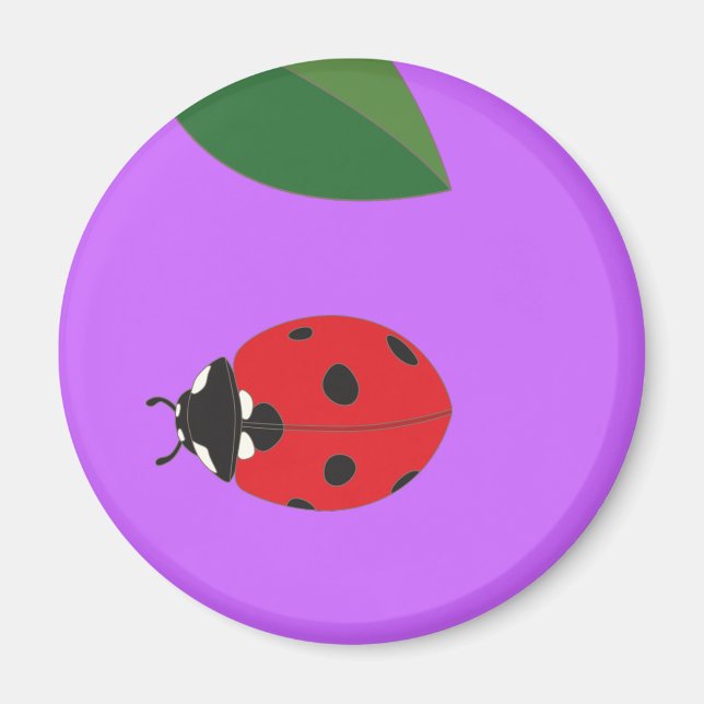 Ladybird Magnet (Framsidan)