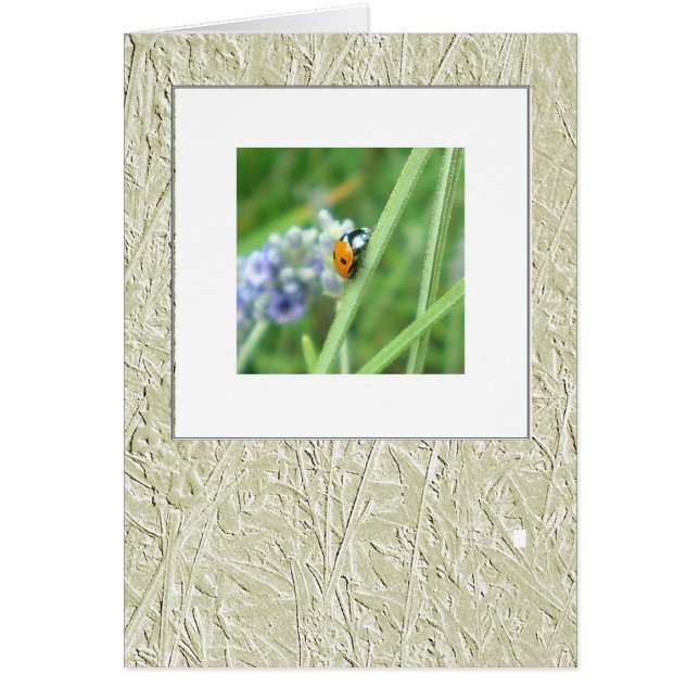 Ladybird på stjälk hälsningskort (Framsidan)