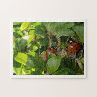 Ladybird Pussel