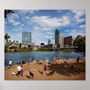 Ladybird Sjö Hund Park Austin Texas Skyline Poster