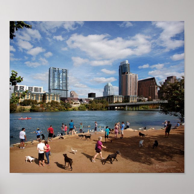 Ladybird Sjö Hund Park Austin Texas Skyline Poster (Framsidan)