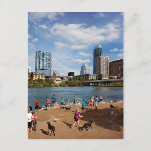 Ladybird Sjö Hund Park Austin Texas Skyline Vykort