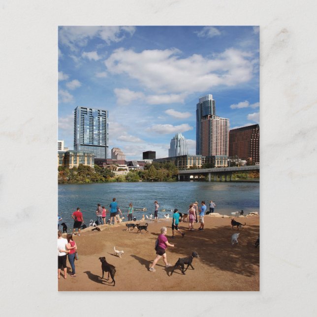Ladybird Sjö Hund Park Austin Texas Skyline Vykort (Framsida)