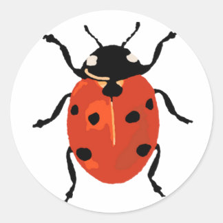Ladybird Small Sticker Runt Klistermärke