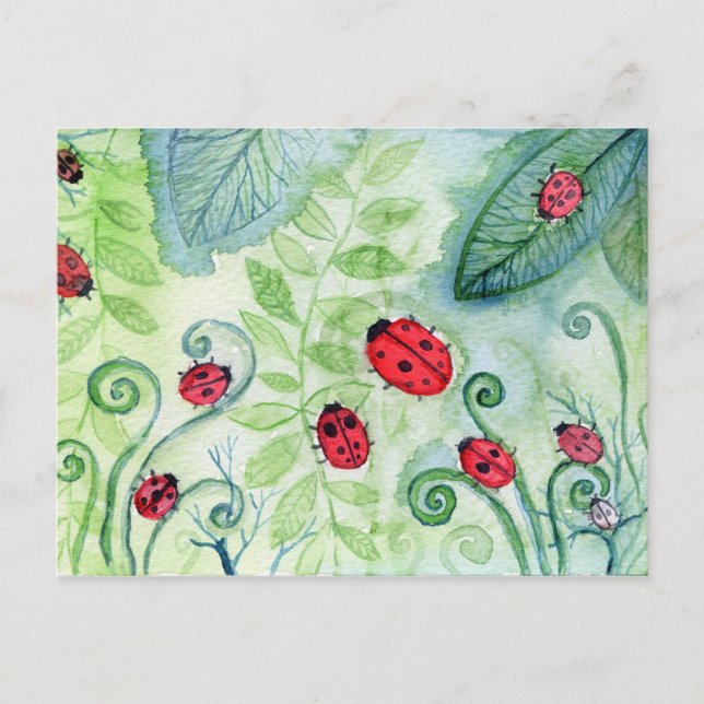Ladybird Vykort (Framsida)