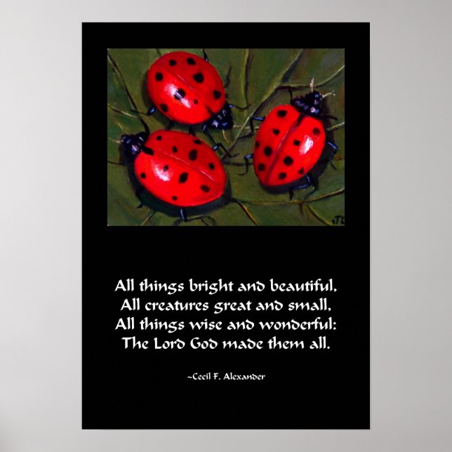 LADYBUG ALL SAK BRIGHT POSTER (Framsidan)